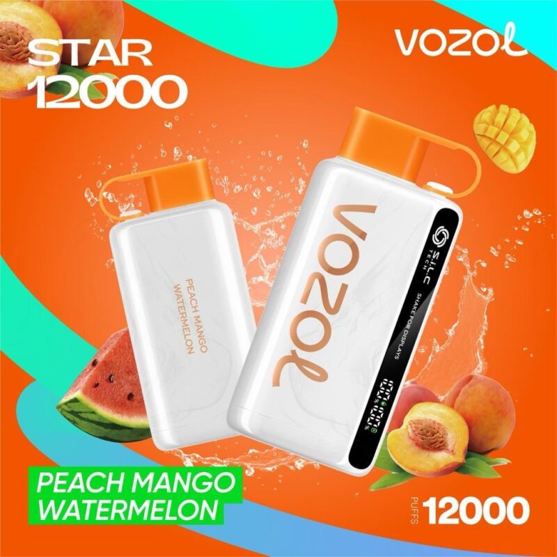 Vozol Star 12000 Puffs Disposable Vape Best In DUBAI - UAE - Image 8