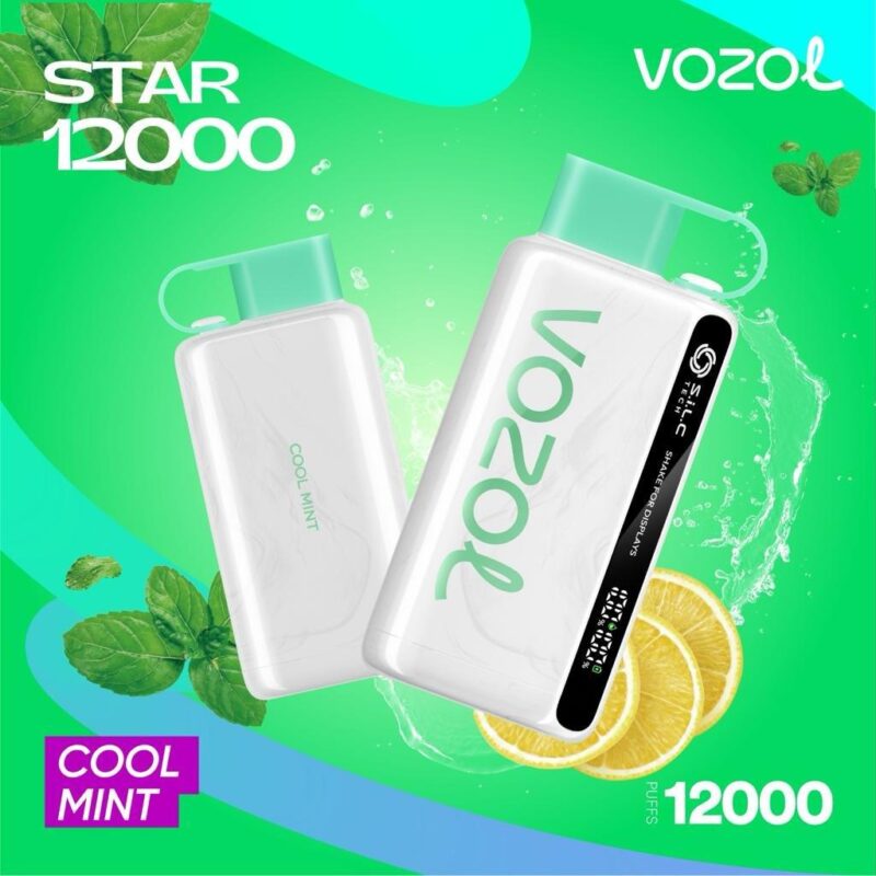 Vozol Star 12000 Puffs Disposable Vape Best In DUBAI - UAE - Image 4