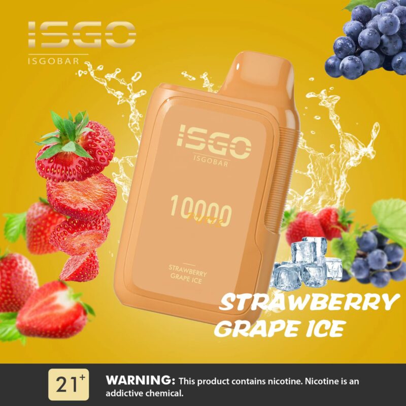 ISGO BAR 10000 Puffs DISPOSABLE VAPE - Image 9