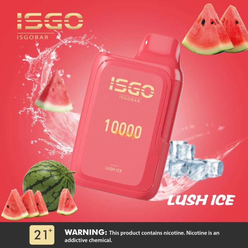 ISGO BAR 10000 Puffs DISPOSABLE VAPE - Image 14